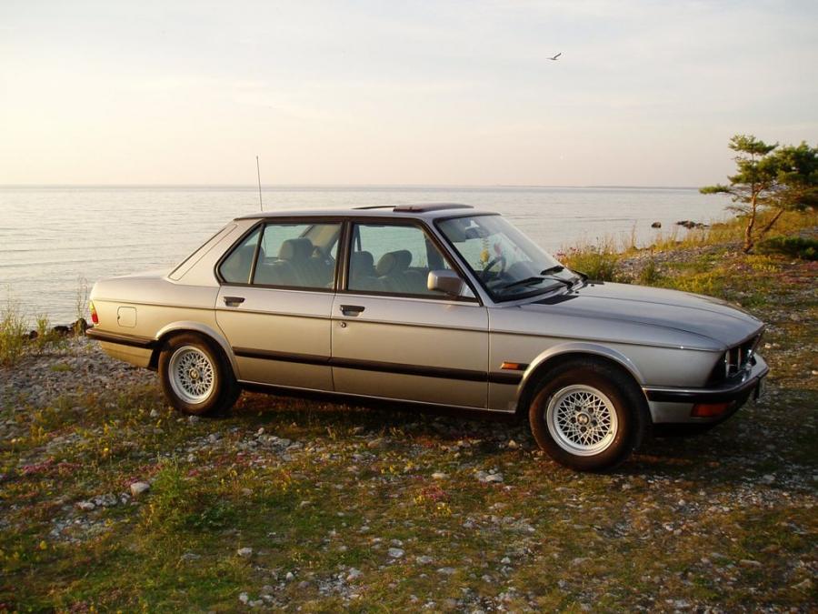  BMW 518 1981 года  (фото 3 из 3)